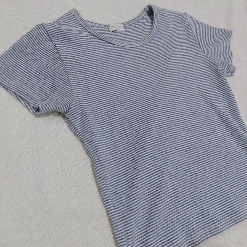 Brandy Melville Blue and White Striped Crop Top